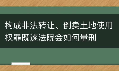 构成非法转让、倒卖土地使用权罪既遂法院会如何量刑