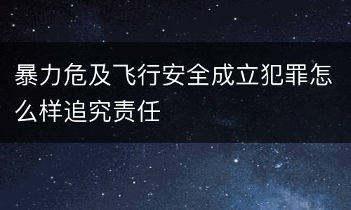暴力危及飞行安全成立犯罪怎么样追究责任