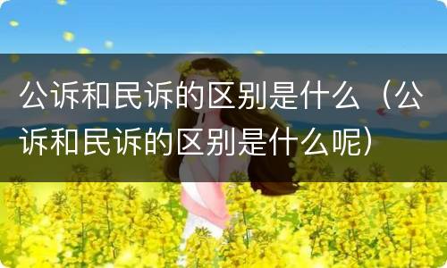 公诉和民诉的区别是什么（公诉和民诉的区别是什么呢）