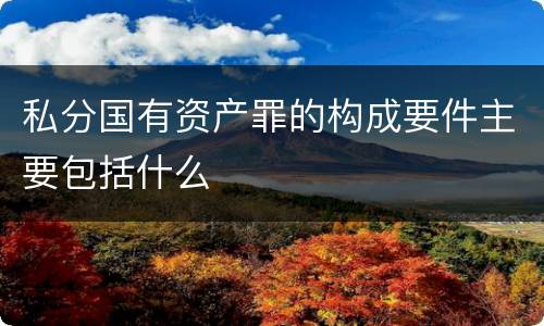 私分国有资产罪的构成要件主要包括什么