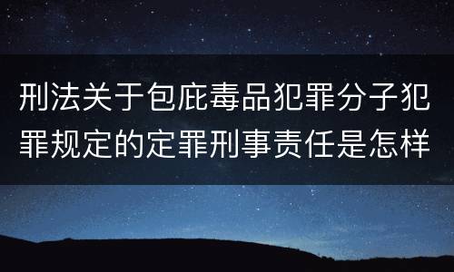 刑法关于包庇毒品犯罪分子犯罪规定的定罪刑事责任是怎样的