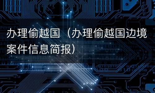 办理偷越国（办理偷越国边境案件信息简报）