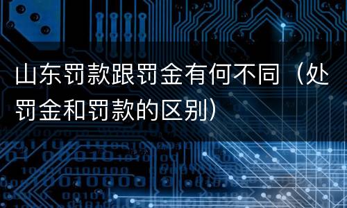 山东罚款跟罚金有何不同（处罚金和罚款的区别）
