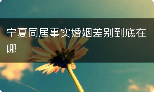 宁夏同居事实婚姻差别到底在哪