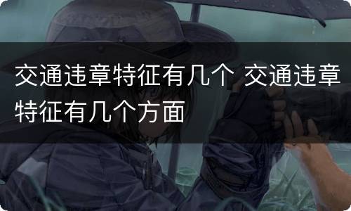 交通违章特征有几个 交通违章特征有几个方面