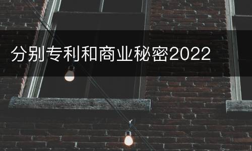 分别专利和商业秘密2022