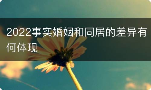 2022事实婚姻和同居的差异有何体现