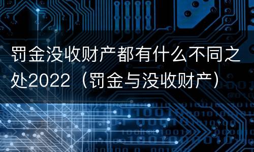 罚金没收财产都有什么不同之处2022（罚金与没收财产）