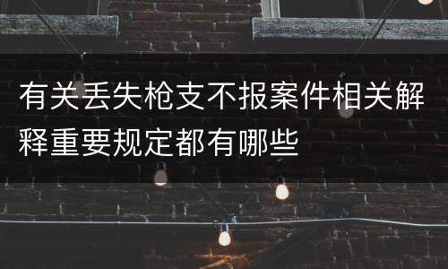 有关丢失枪支不报案件相关解释重要规定都有哪些