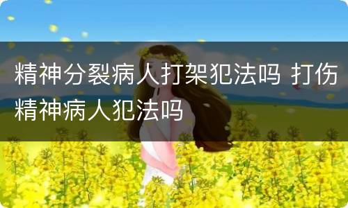 精神分裂病人打架犯法吗 打伤精神病人犯法吗