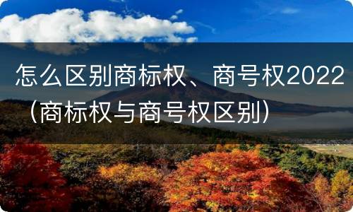 怎么区别商标权、商号权2022（商标权与商号权区别）