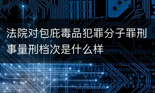 法院对包庇毒品犯罪分子罪刑事量刑档次是什么样