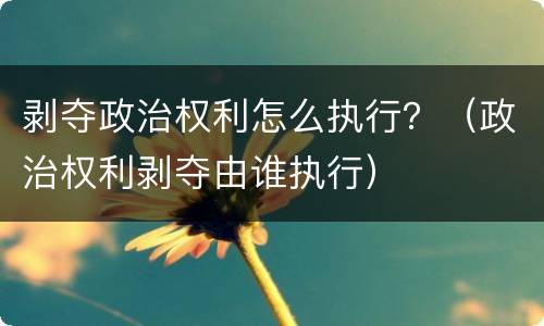 剥夺政治权利怎么执行？（政治权利剥夺由谁执行）