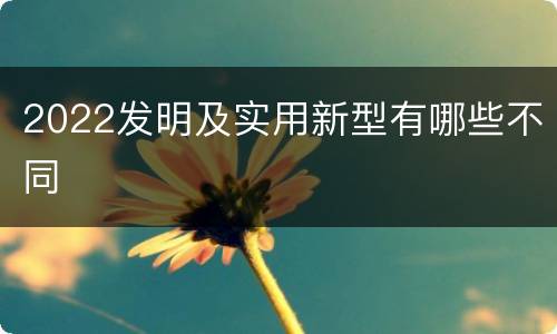 2022发明及实用新型有哪些不同