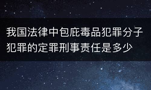 我国法律中包庇毒品犯罪分子犯罪的定罪刑事责任是多少