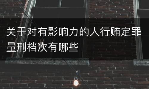 关于对有影响力的人行贿定罪量刑档次有哪些