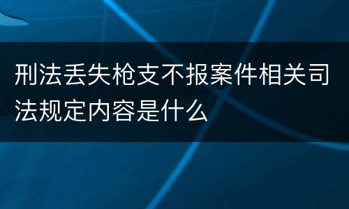 刑法丢失枪支不报案件相关司法规定内容是什么