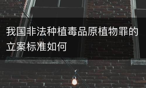 我国非法种植毒品原植物罪的立案标准如何