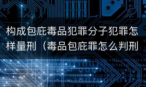 构成包庇毒品犯罪分子犯罪怎样量刑（毒品包庇罪怎么判刑）