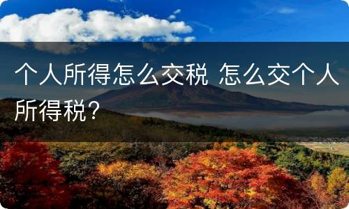 个人所得怎么交税 怎么交个人所得税?