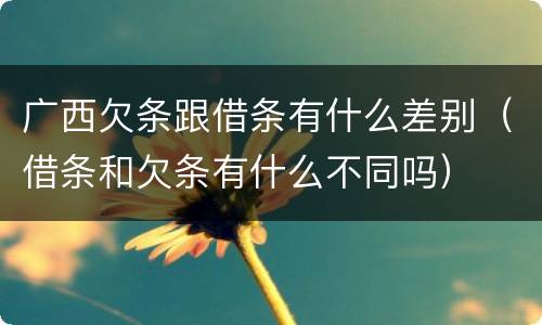 广西欠条跟借条有什么差别（借条和欠条有什么不同吗）