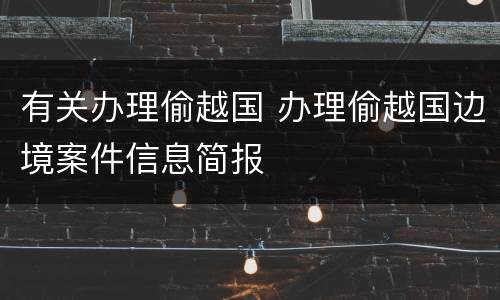 有关办理偷越国 办理偷越国边境案件信息简报