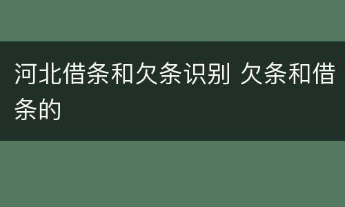 河北借条和欠条识别 欠条和借条的