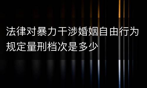 法律对暴力干涉婚姻自由行为规定量刑档次是多少