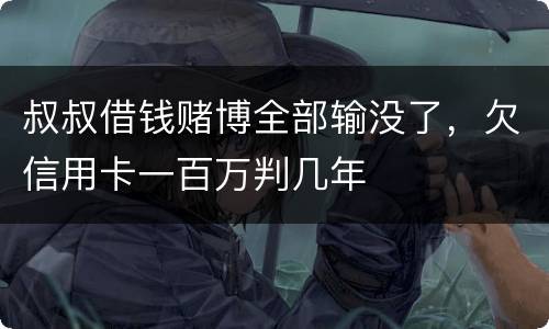 叔叔借钱赌博全部输没了，欠信用卡一百万判几年