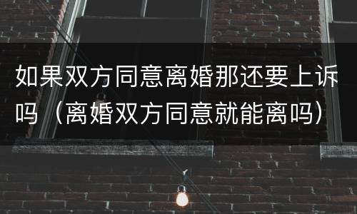 如果双方同意离婚那还要上诉吗（离婚双方同意就能离吗）