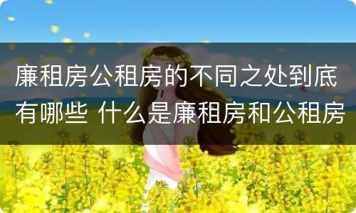 廉租房公租房的不同之处到底有哪些 什么是廉租房和公租房两个有什么特点