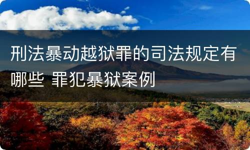 刑法暴动越狱罪的司法规定有哪些 罪犯暴狱案例
