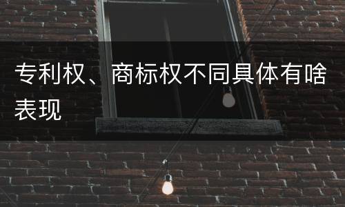专利权、商标权不同具体有啥表现