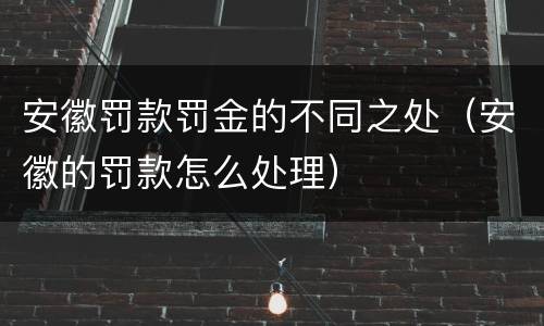 安徽罚款罚金的不同之处（安徽的罚款怎么处理）