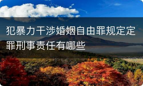 犯暴力干涉婚姻自由罪规定定罪刑事责任有哪些