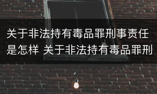 关于非法持有毒品罪刑事责任是怎样 关于非法持有毒品罪刑事责任是怎样定义的