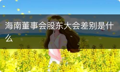 海南董事会股东大会差别是什么