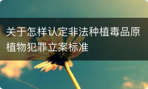 关于怎样认定非法种植毒品原植物犯罪立案标准