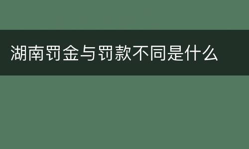 湖南罚金与罚款不同是什么