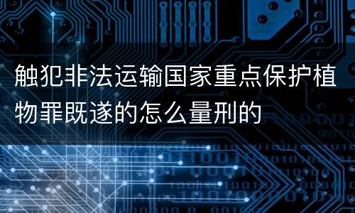 触犯非法运输国家重点保护植物罪既遂的怎么量刑的