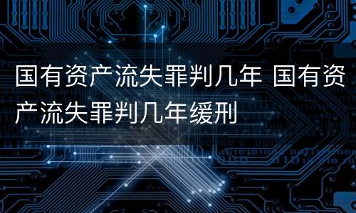 国有资产流失罪判几年 国有资产流失罪判几年缓刑
