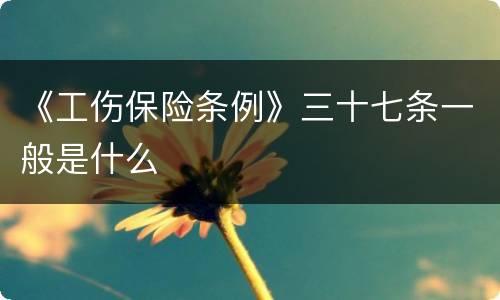《工伤保险条例》三十七条一般是什么