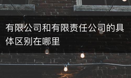 有限公司和有限责任公司的具体区别在哪里