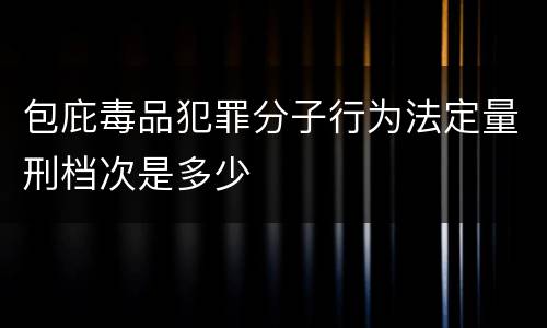 包庇毒品犯罪分子行为法定量刑档次是多少