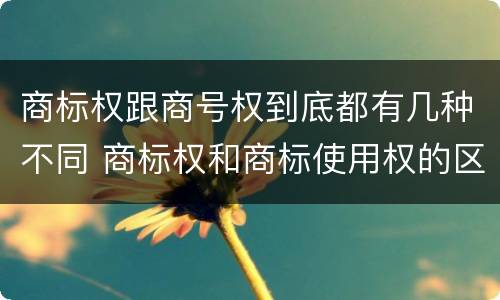 商标权跟商号权到底都有几种不同 商标权和商标使用权的区别