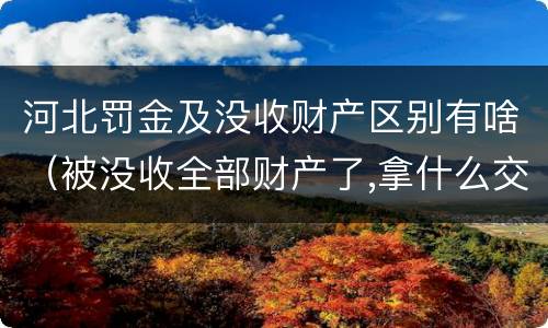 河北罚金及没收财产区别有啥（被没收全部财产了,拿什么交罚金）