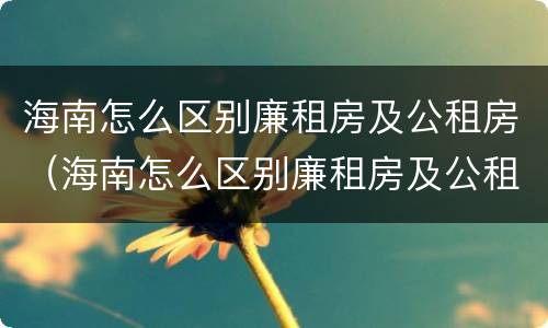 海南怎么区别廉租房及公租房（海南怎么区别廉租房及公租房呢）