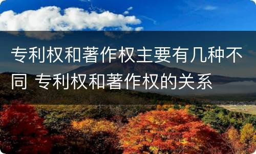 专利权和著作权主要有几种不同 专利权和著作权的关系