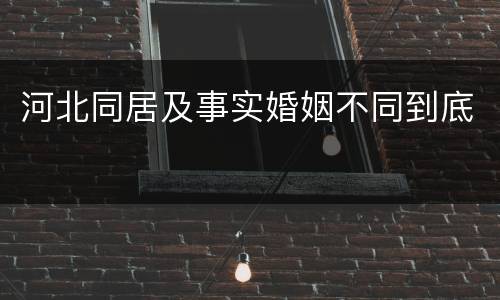 河北同居及事实婚姻不同到底