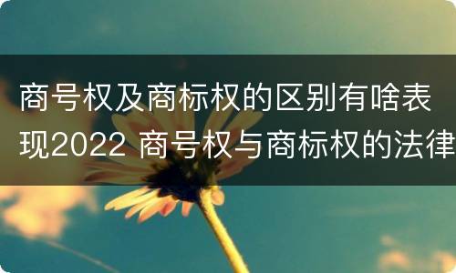 商号权及商标权的区别有啥表现2022 商号权与商标权的法律冲突与解决